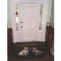 Two dogs sitting on a mat in front of a closed white door inside a house.