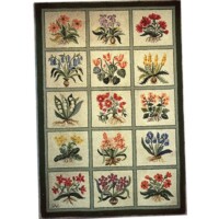 A framed picture displaying a grid of twelve botanical illustrations, each featuring different flower species.