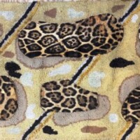 A patterned rug with leopard print designs.