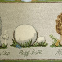 Embroidered representation of mushrooms with labels "shaggy cap," "puff ball," and "morel.