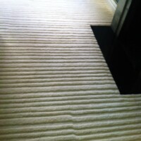 A freshly vacuumed carpet showing visible track marks.